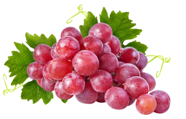 What are the top ten taboo fruits for cats?