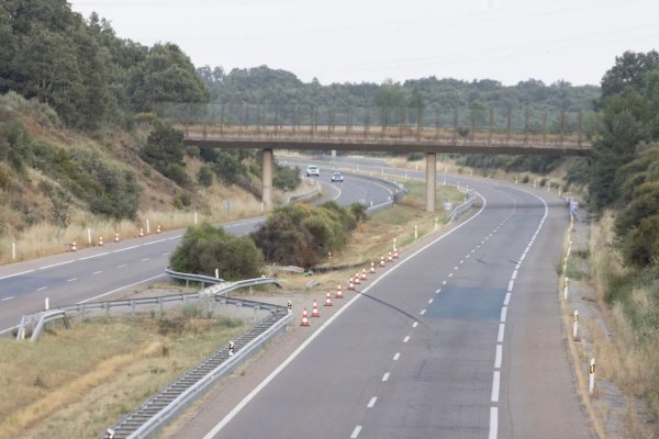 Sun: Wild animals often appear in the location of the car accident in Ruta, which may be the cause of the accident