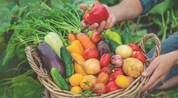 How much does the dietary fiber need to eat every day to fill it up? Nutritionists recommend 