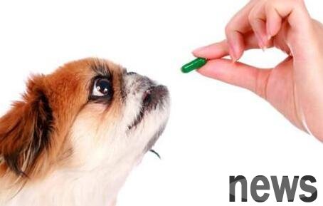Have a dog had a fever and a cold for five days and hasn t he recovered? See what went wrong