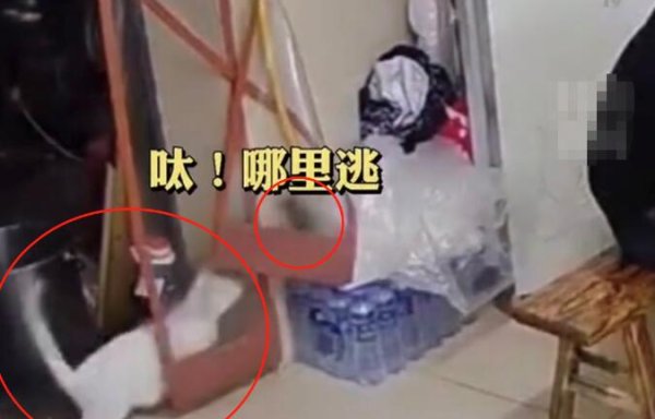 The hotel staged a 