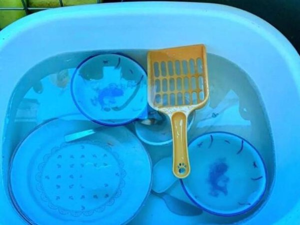 The woman found a cat litter shovel in the dishwasher. She was immediately disheartened. After asking her mother, she realized that she had a misunderstanding.