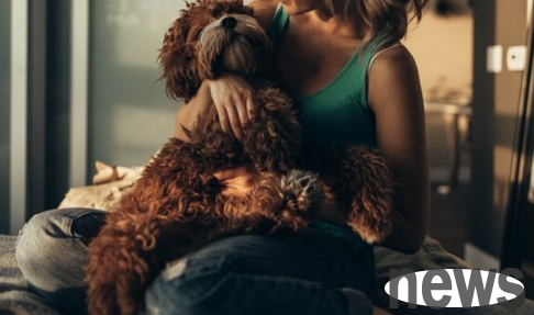 Want to know what a dog licks his owner’s face means? You can learn about it~