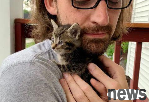 Netizens send cats as gifts every time they move: This is how my cats always come!