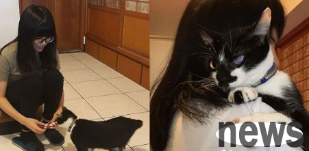 The one-eyed cat who loves to be petted becomes the welcome cat of the animal house.
