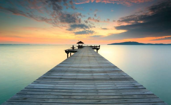 The owner woke up feeling sore all over her body. After looking at the surveillance camera, she realized that the cat had been beating her for most of the night.