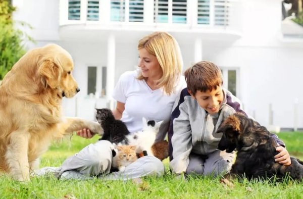 Oh My God! Do you know that there are so many benefits to keeping pets?