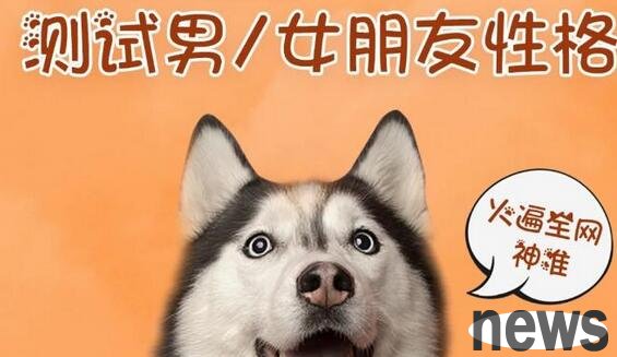 Divine accuracy! You can tell your dog’s personality by looking at it!