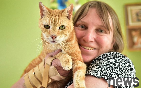 Cat’s experiences and feelings | Selected cat-raising experiences shared by six foreign netizens